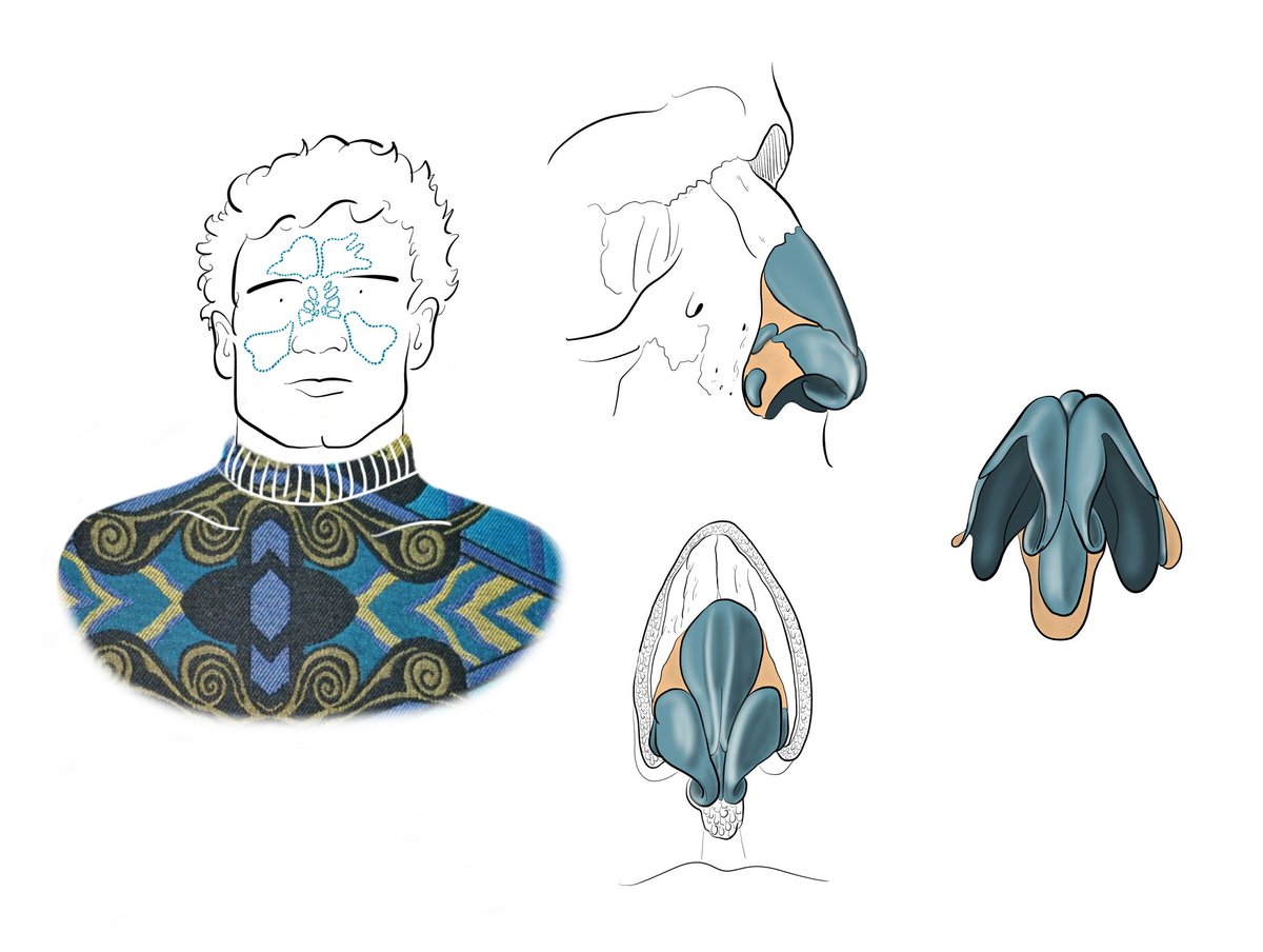 1200x904 Merlin Strangeway On Twitter More Jazzy Jumpers!!  anatomical