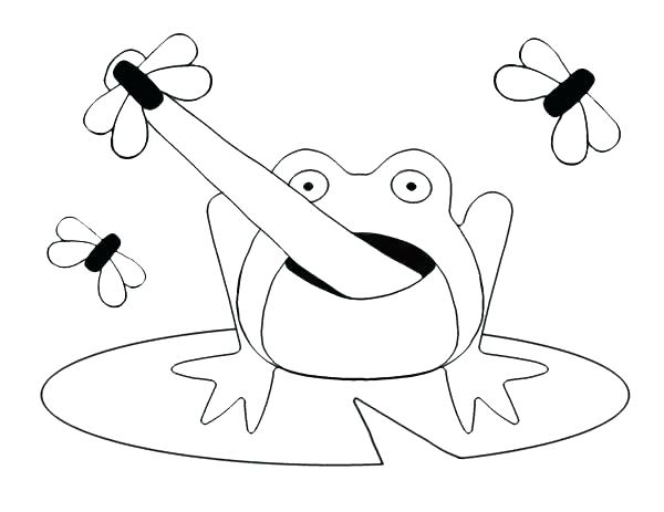 600x463 Frog Jumping Drawing At Free For Personal Use Frog Frog Jumper