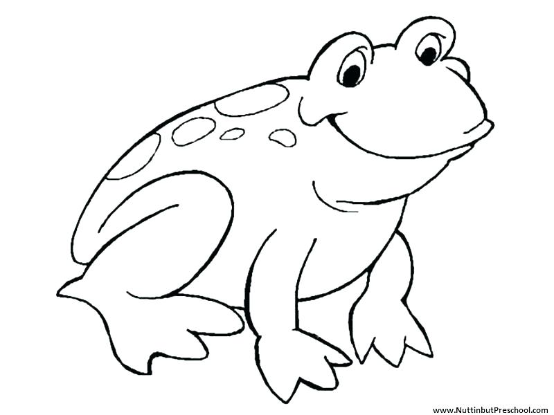 800x600 Leap Frog Coloring Pages Frog Colouring Page Coloring Pictures