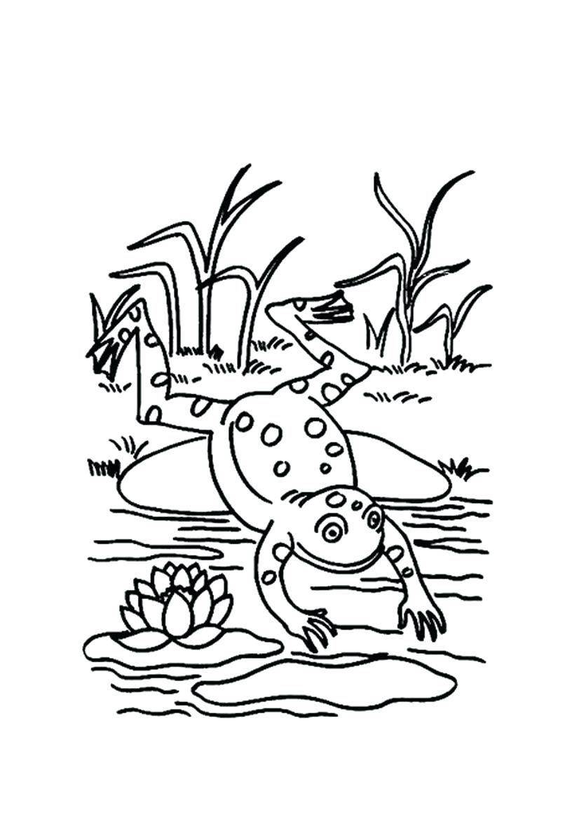 826x1169 Quickly Cartoon Frog Coloring Pages Secrets Pictures To Print Draw