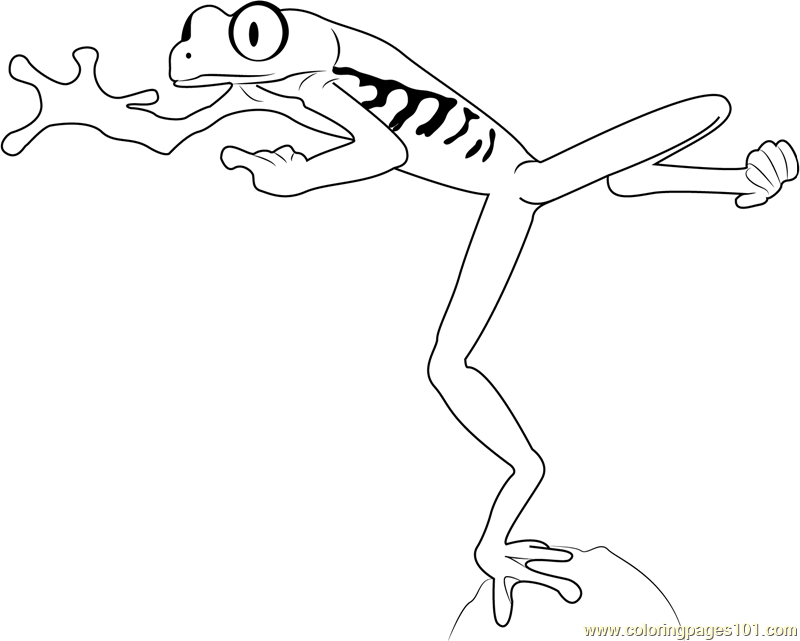 800x641 Coloring Pages Cute Frogs Draw A Frog For Kids In Page 8