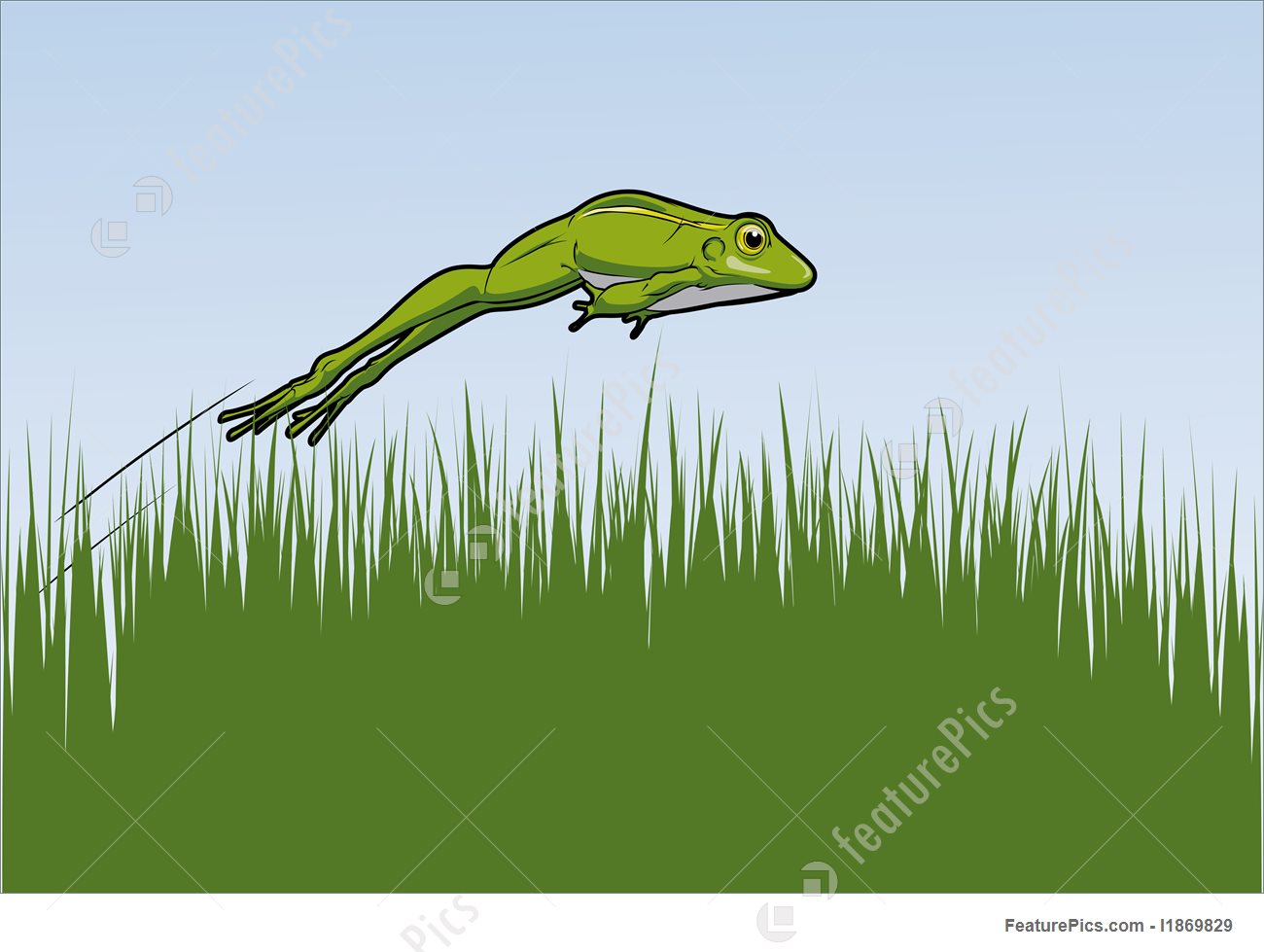 1300x979 Wildlife Jumping Frog