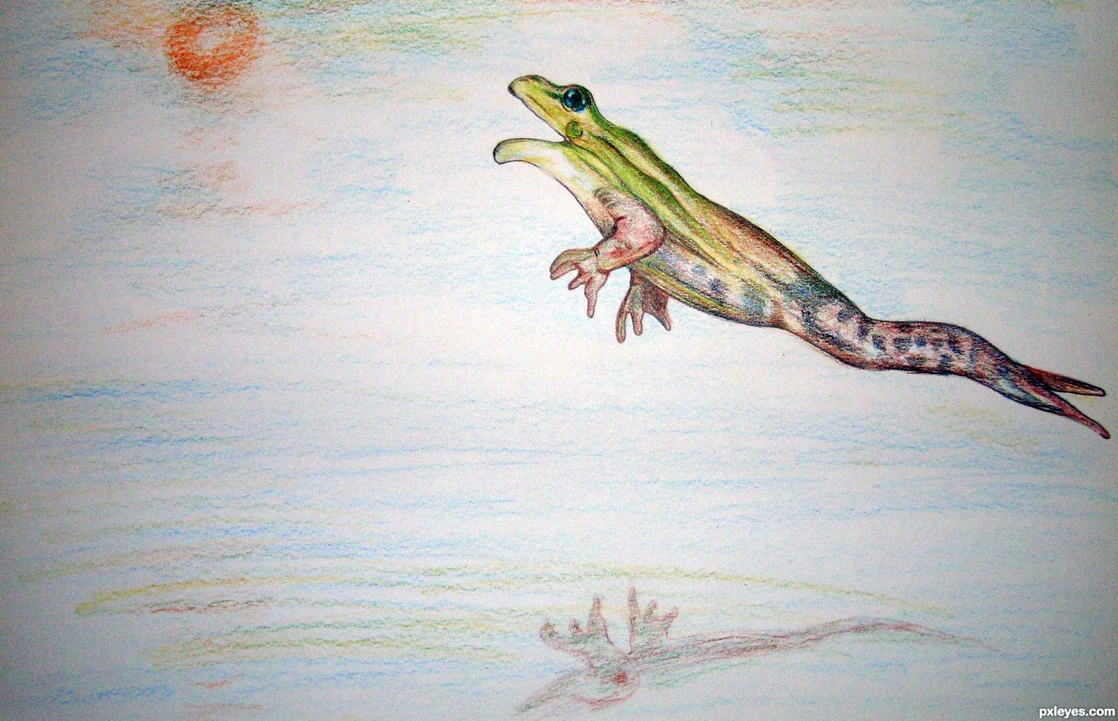 1587x1024 Jumping Frog Picture, By Sanjugs For Frog Td Drawing Contest