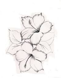 198x255 Resultado De Imagem Para Hibiscos Riscos E Desenhos Para Pintura