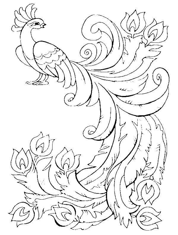 600x791 Zhar Ptitsa 5759.jpg Peacock Art