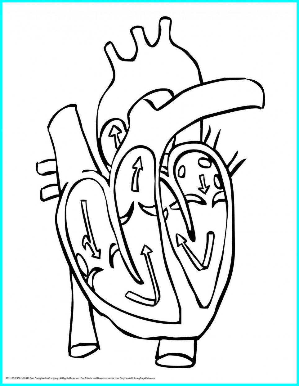 Kawaii Kitty Drawing