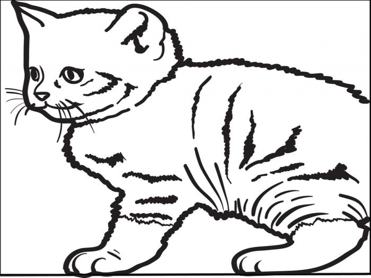 1280x960 Cute Cat Coloring Pages