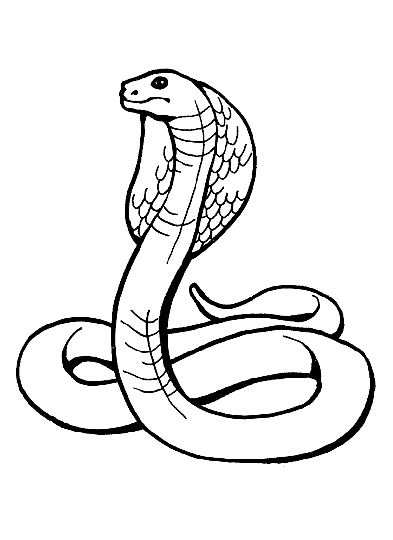 800x1100 Printable King Cobra Snake Coloring Pages