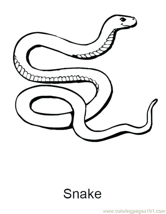 568x732 Sea Snake Coloring Page Snake Coloring Pages King Cobra Snake