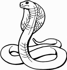 236x248 Snake Drawings For Kids King Cobra Coloring Pages Backyard