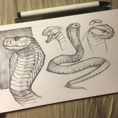 236x236 Snake Drawings For Kids King Cobra Coloring Pages Backyard