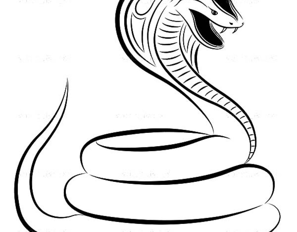 King Cobra Snake Drawing at GetDrawings | Free download