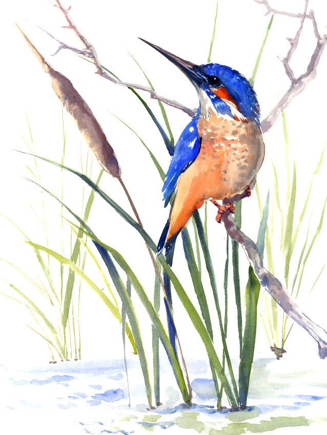 638x850 Kingfisher Art, Original One Of Akind Watercolor Painting