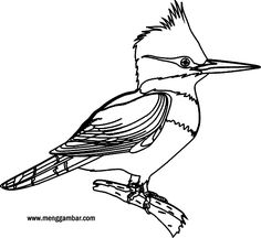 236x216 Tutorialshow To Draw