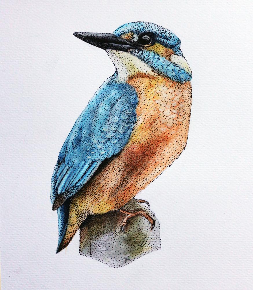 874x1000 Kingfisher Colored Drawing Made Of Dots