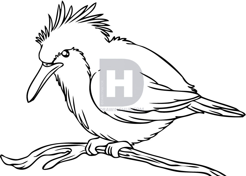 934x671 How To Draw A Kingfisher Bird, Step By Step, Drawing Guide, By