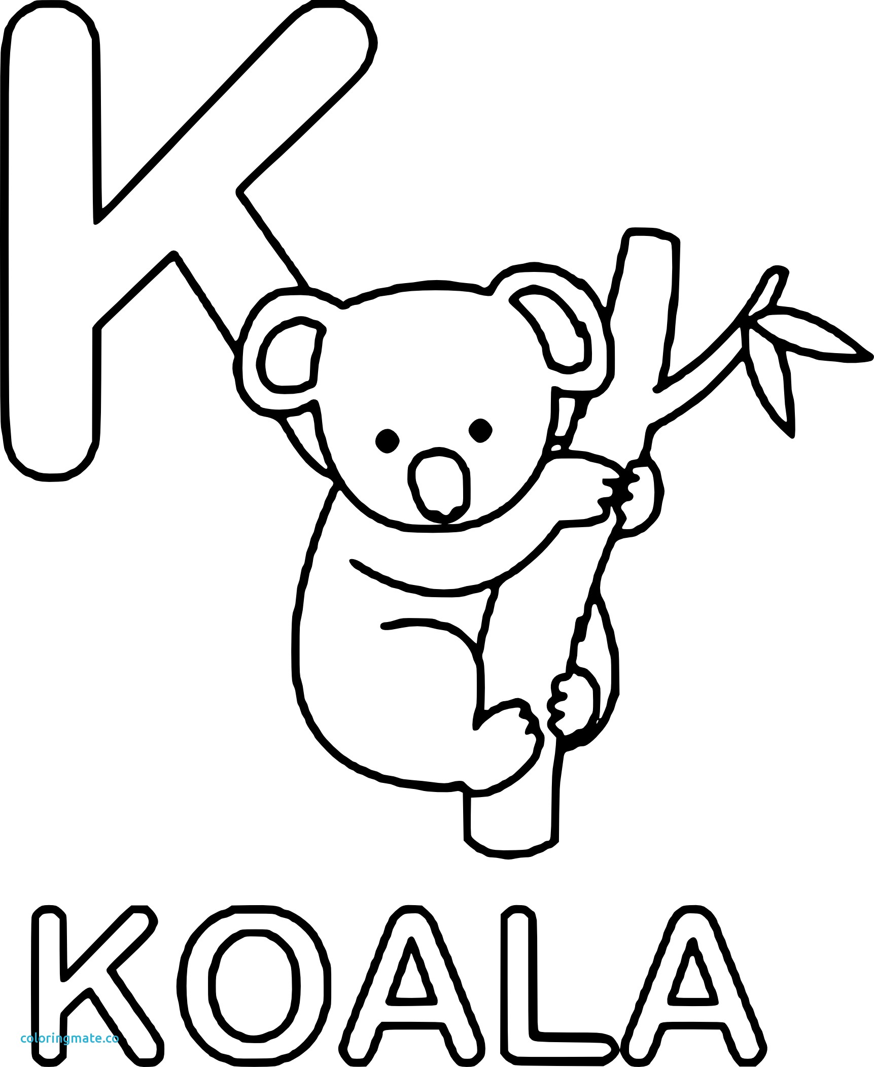 1723x2103 Best Koala Pictures To Color Coloring Pages Bo