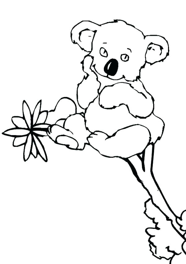 600x850 Page Koala Coloring Pages Rugrats Coloring Pages Coloring Pages