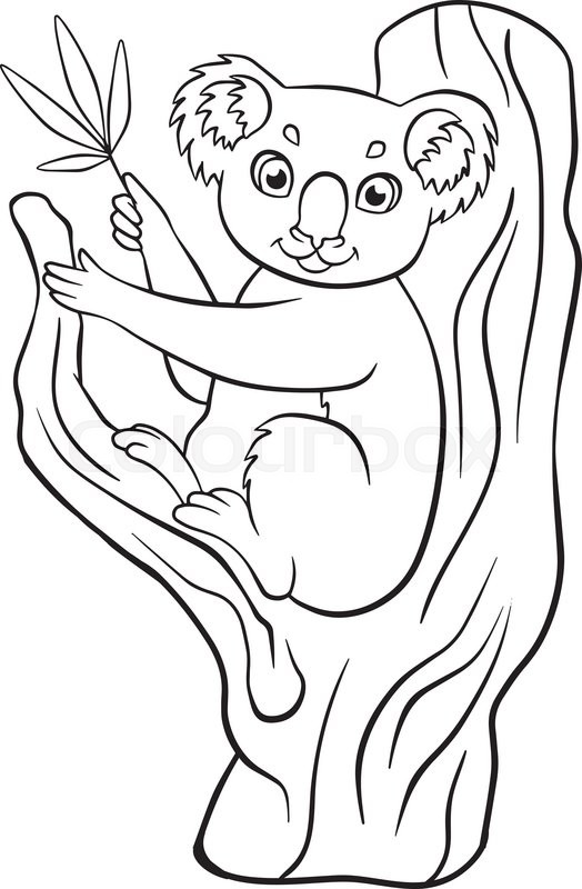 524x800 Coloring Pages. Animals. Little Cute Koala Sits On The Tree