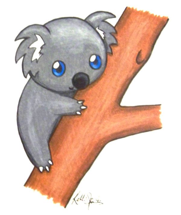 600x713 Cute Koalas Cute Koala Bear Drawings How To Draw Koala Bears