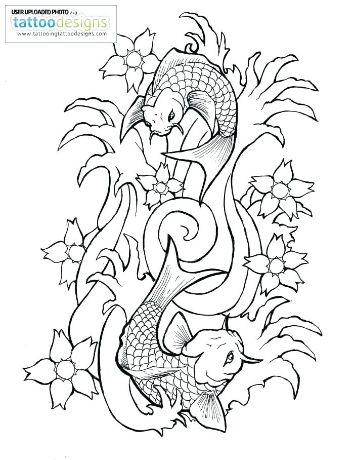 Koi Drawing Tattoo