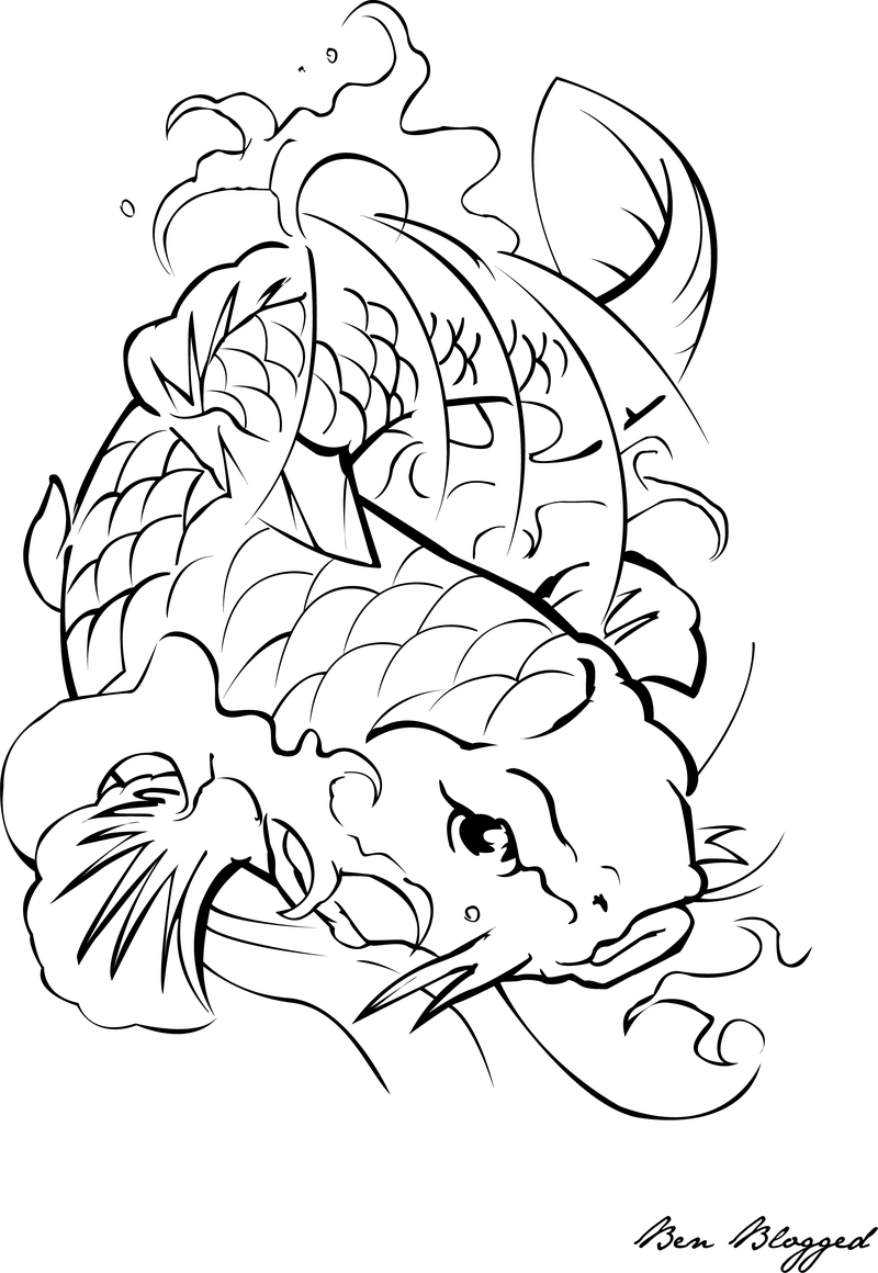 800x1160 Koi Fish Drawing Tattoo