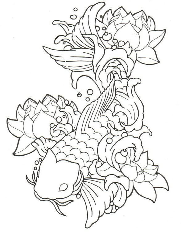 587x752 Koi Fish Drawings How To Draw A Koi Tattoo