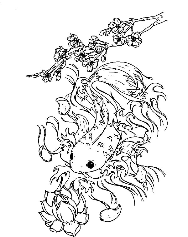 600x759 Koi Fish And Lotus Flower Coloring Pages