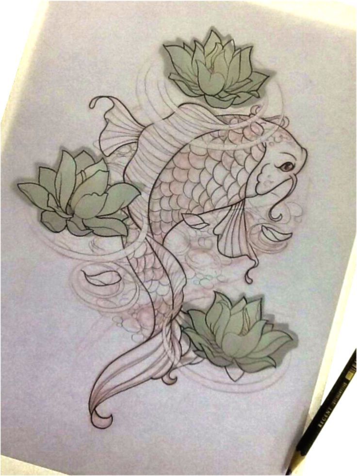 736x980 Pin By William On Imagens Pond, Sketches And Fish