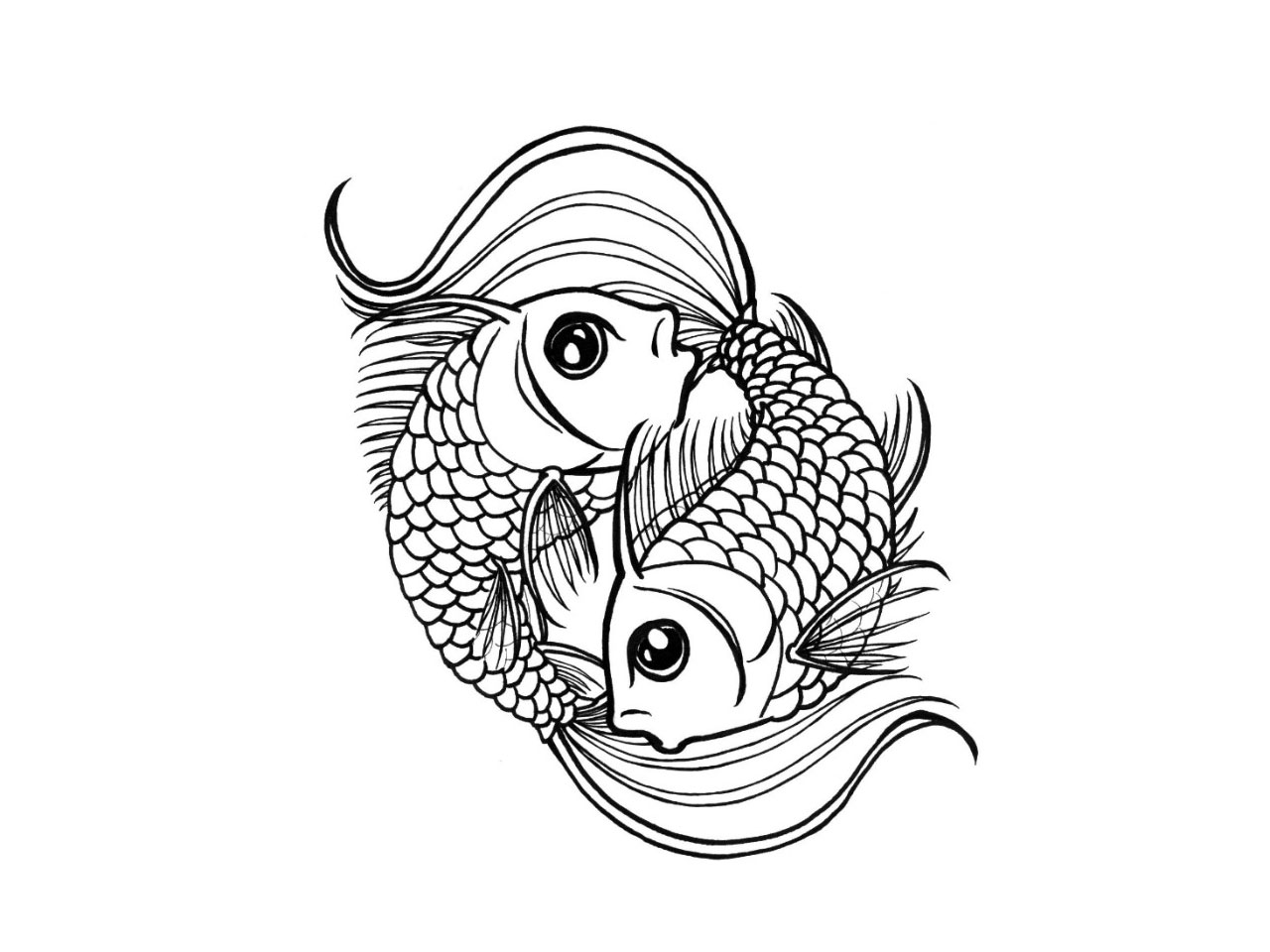 1280x960 Drawn Koi Fish Swimming Free Collection Download And Share Drawn