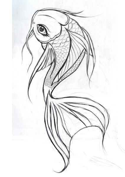 424x600 Koi Sketch Activities For Kids Koi, Sketches