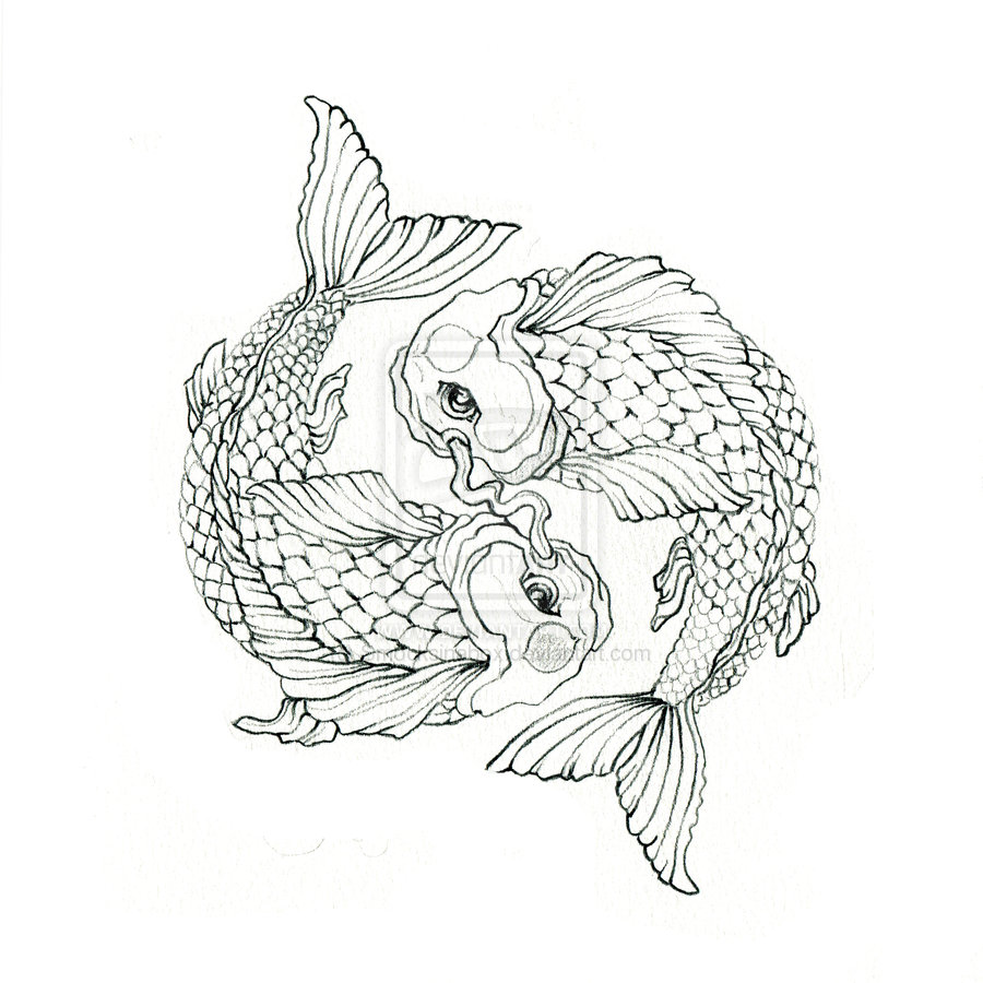 Koi Fish Tattoo Drawing Design at GetDrawings | Free download