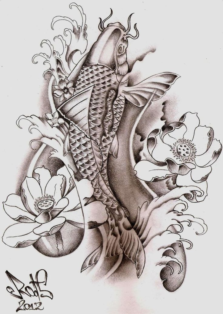 736x1034 30 Koi Fish Tattoo Designs With Meanings