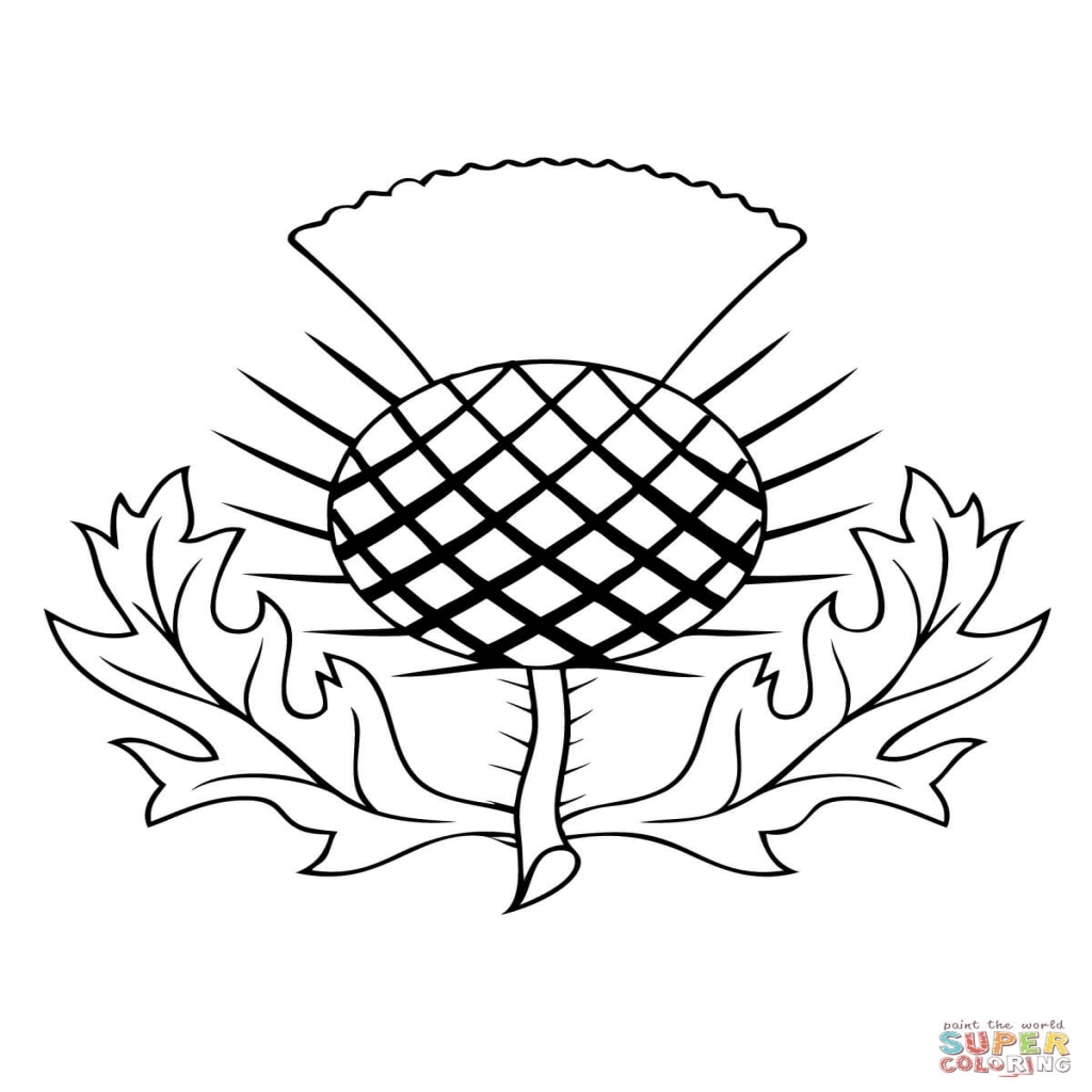 1024x1024 Fresh Outline Drawings For Colouring The Thistle Of Scotland