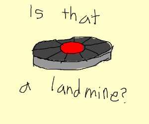 300x250 Land Mine