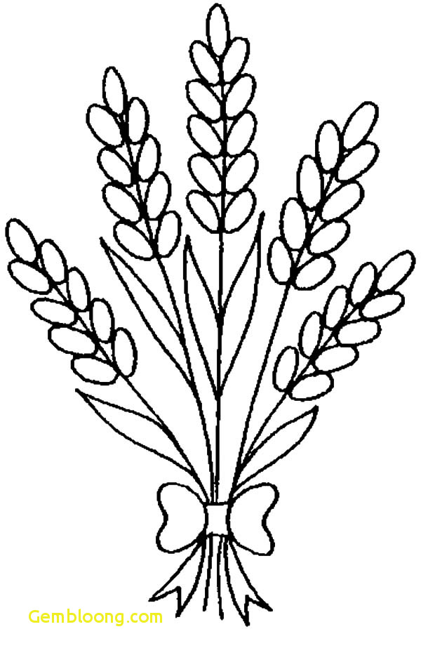 600x933 Lavender Pages Unique Lavender Flower Field Coloring Pages