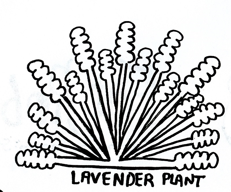 801x665 Lavender Plant Fantasy Landscape Step Out