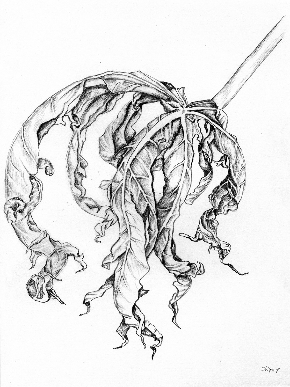 1200x1601 Stories In Lead On Behance