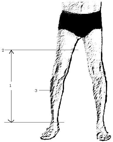 385x482 How To Make Leggings