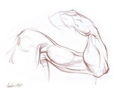 236x182 Pin By Krish On Art Draw, Sketches And Sketch Ideas