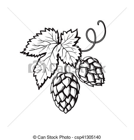 450x470 Green Hop Plant, Sketch Style Vector Illustration Isolated