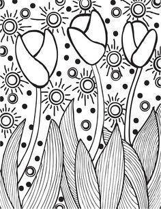 236x306 30 Best Fiar Lentil Images On Eye Contacts, Lentils