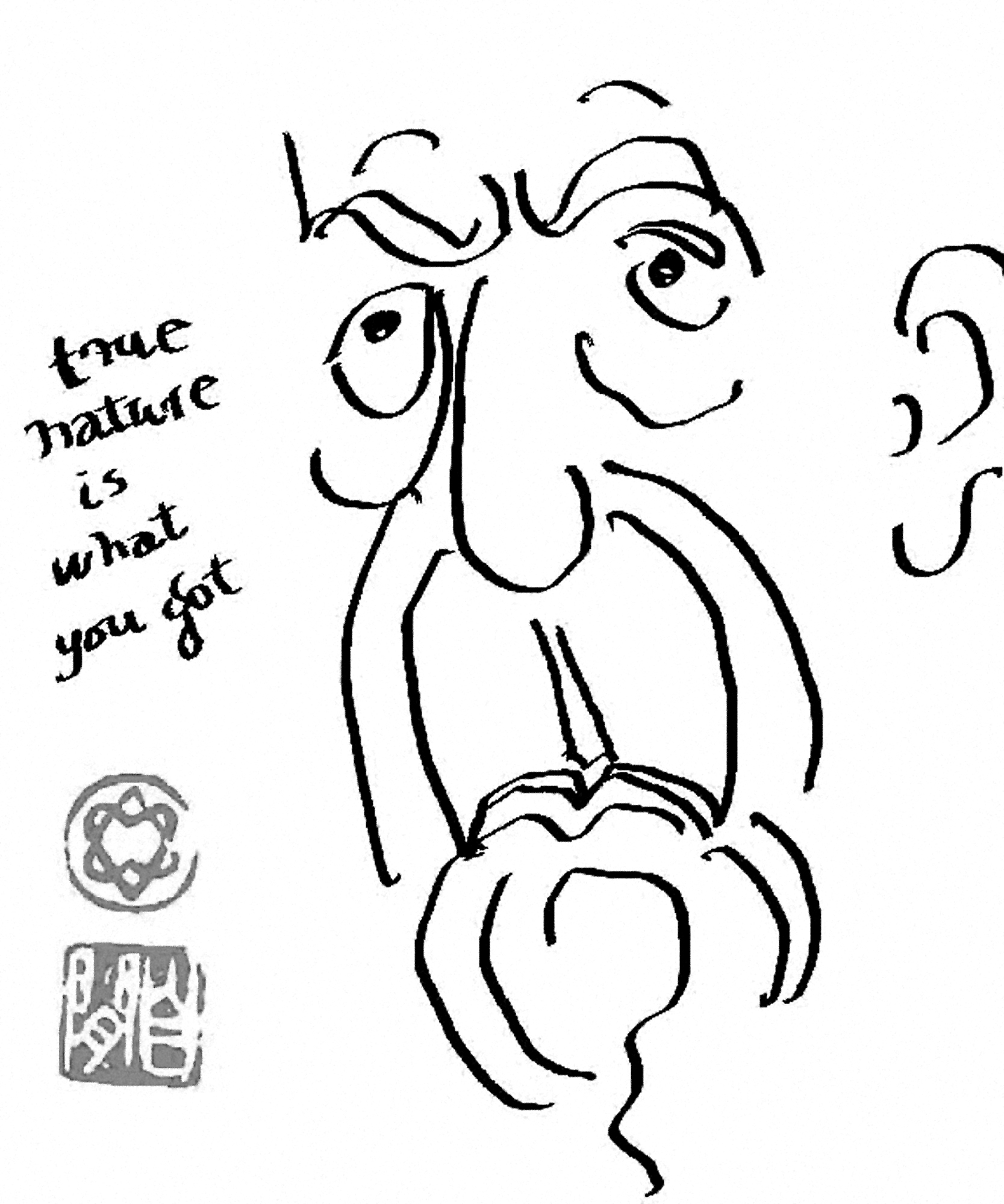 1667x2000 A Face, Plus Words Mac