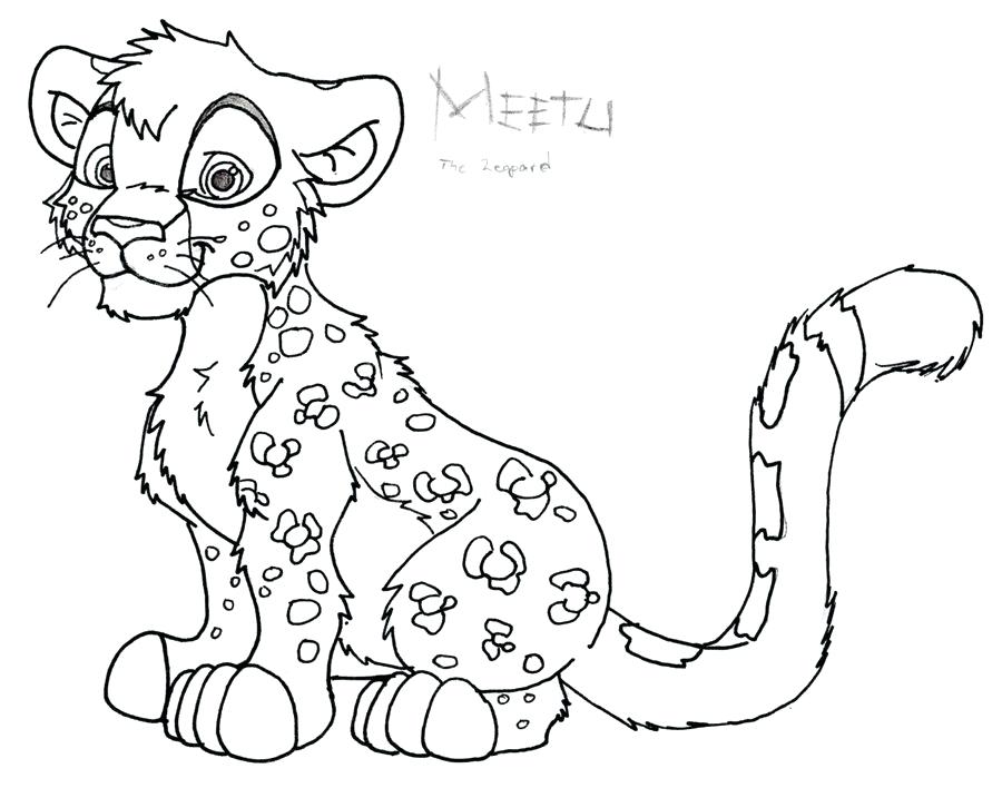 900x708 Drawn Leopard Line Drawing