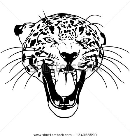 446x470 Drawn Leopard Black And White