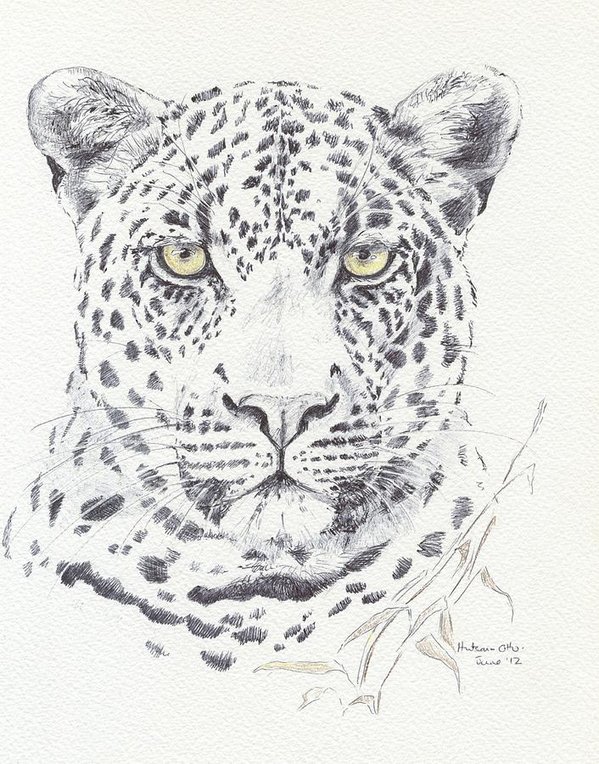 599x764 Leopard Art Print By Gail Otto
