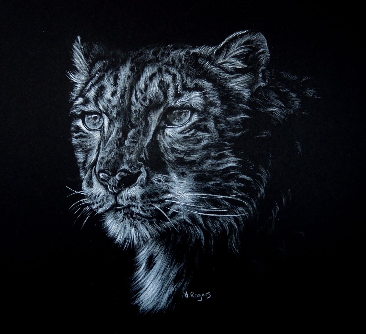 1200x1095 Helen Wildlife Artist On Twitter Snow Leopard In @caran Dache