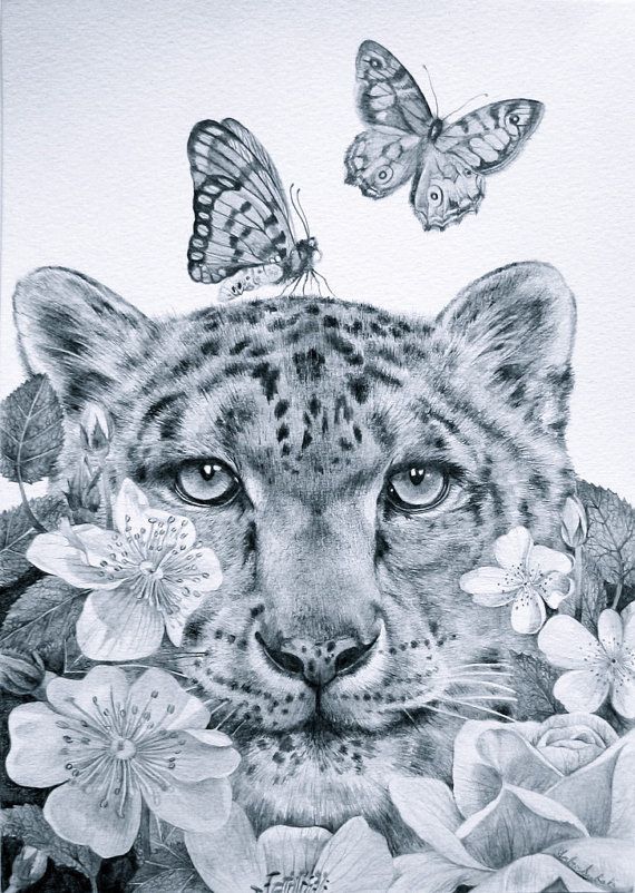 570x802 Original Drawing Snow Leopard Butterfly Flower Surreal Cat Flowers