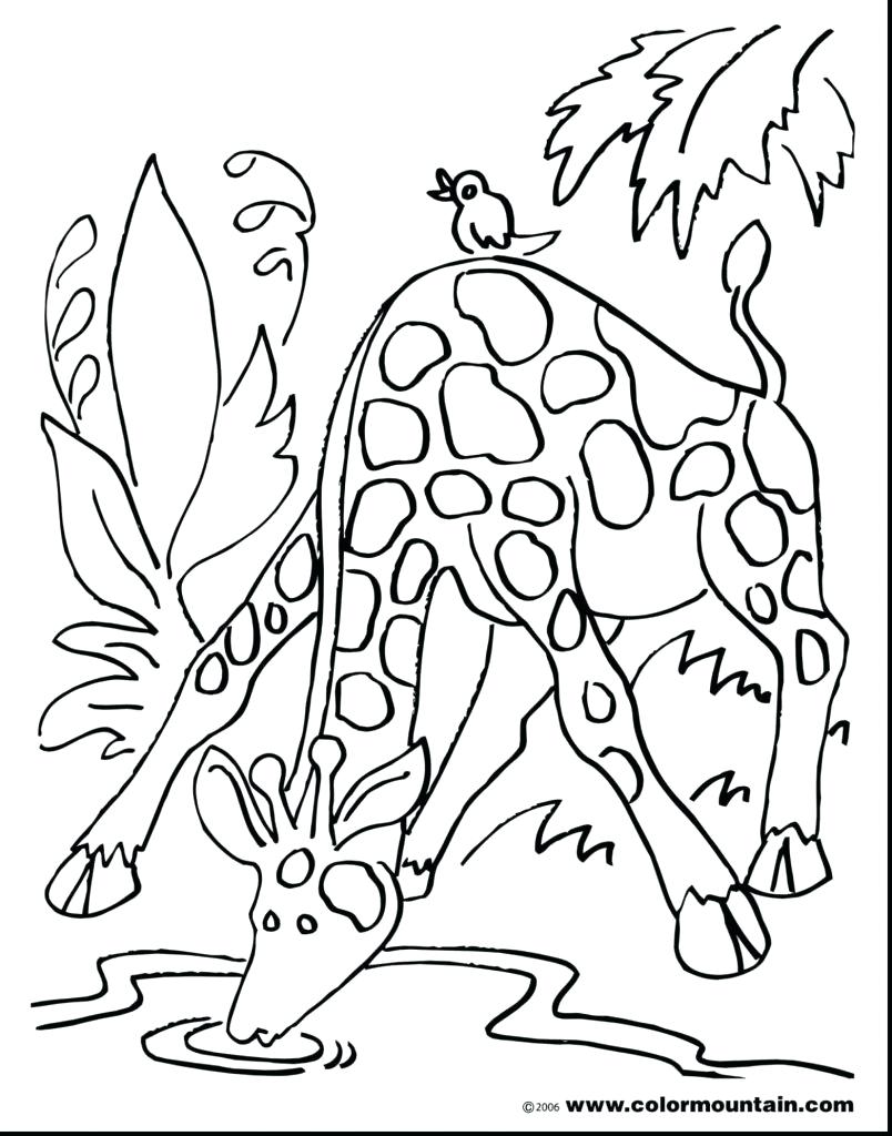 804x1024 Bible Fun For Kids Has Leprosy Miriam Gets Leprosy Coloring Page