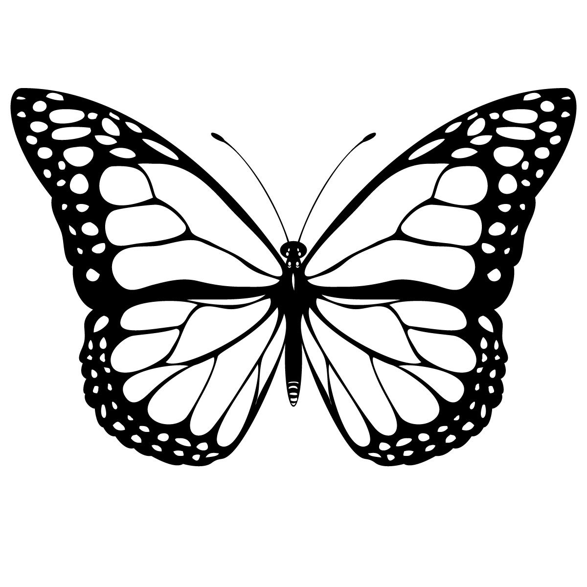 1200x1200 Butterfly Simple Drawing Please Repin!!! If You Are Located In